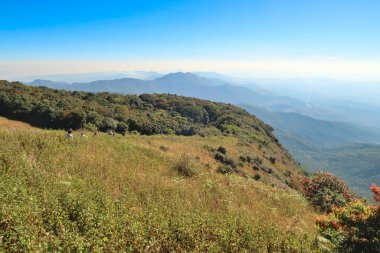 Kew Mae Pan Doğa yolundan çevresindeki geniş araziye bakın, tepeler, dağlar, orman, çayırlar, vadiler, Doi Inthanon Ulusal Parkı, Chiang Mai, Tayland 2023
