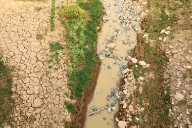 View onto an almost dried out riverbed, a small muddy stream of water next to fresh green grass, plants, herbs and dried out soil with big cracks in it, Wiang Chiang Kong, Thailand 2023 clipart