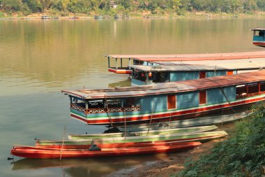 Luang Prabang, Laos 2023 'teki Mekong Nehri kıyısına birkaç renkli uzun tekne yanaştı.
