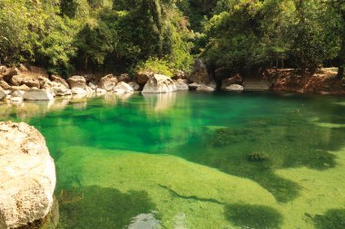 Küçük bir göl, göl, serin havuz adı verilen yoğun yeşil suyu olan bir göl, Thakhek Motosiklet Döngüsü 'nde turistik bir yer, Laos 2023.