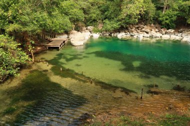 Serin havuzun yoğun yeşil suyu, küçük bir gölet, göl, Thakhek Motosiklet Döngüsü üzerindeki lagün, Laos 2023