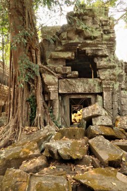Ta Prohm Tapınağı 'nın içinde, büyük taşların üzerinde büyük bir ağaç büyüyor, kapı, kapı, tuğla, Angkor Wat, Siem Reap, Kamboçya 2023
