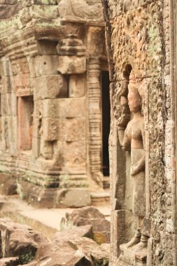 Prasat Preah Khan tapınağının içinde, kırmızı ve yeşil yosun, lichens, Angkor Wat, Siem Reap, Kamboçya 2023 ile kaplanmış kumtaşı bir duvara bir apsara oyulmuştur.