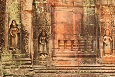 Ta Som Tapınağı, Angkor Wat, Siem Reap, Kamboçya 2023 'te kırmızı, yeşil, turuncu siyah yosunlarla kaplı bir duvara birkaç apsaras oyulmuştur.