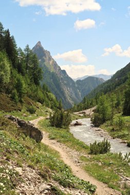 Hoehenbach nehri, dere, dere, E5 Patikası, Alpler, Holzgau, Avusturya 2023