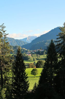 Tek bir ağaca güzel bir manzara, küçük bir köy, tepenin üstündeki evler ve arka plandaki dağlar, Wertach, Allgaeu, Allgau, Allgovia, Bavyera, Almanya 2023