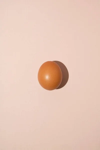 One fresh brown chicken egg isolated on pastel background. Minimal food concept.