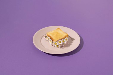 Taze papatya çiçekleriyle dolu tost sandviçi mor arka planda plastik tabakta servis edilir. Asgari bahar ya da yaz konsepti.