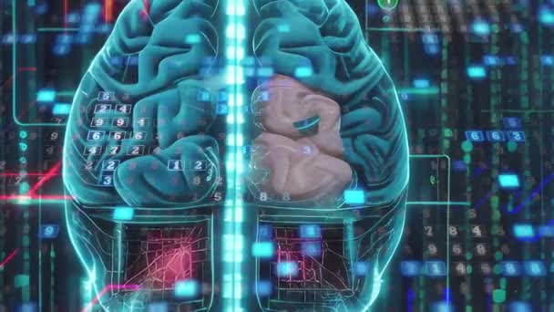 Rozhraní Mozek Počítač Umělé Inteligence — Stock video