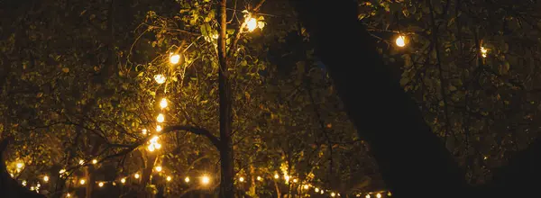 String garden lights on trees summer evening background