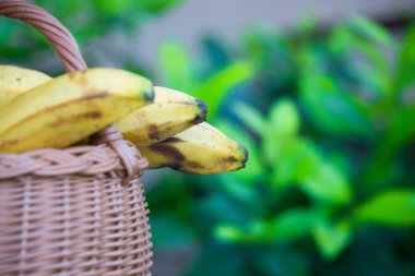 Doğal ışıkta olgun muzlar.