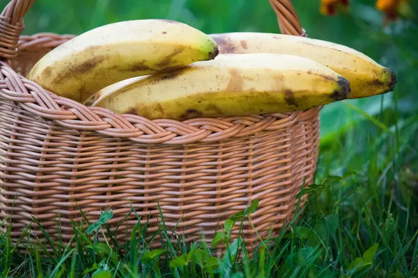 Biologische Rijpe Bananen Natuurlijk Licht — Stockfoto