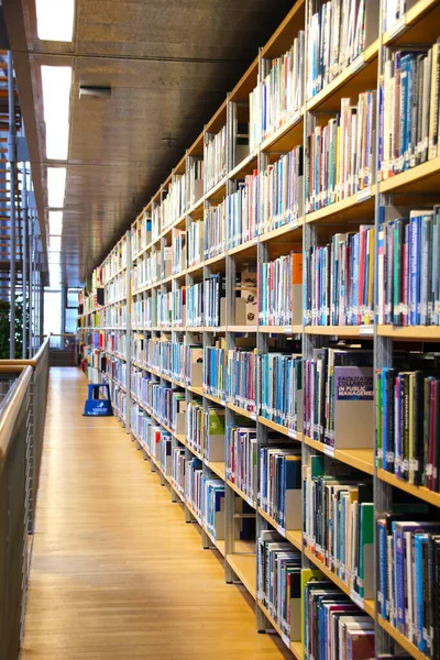 在一个背景不集中的曲线书架上的图书馆中对书籍进行近距离研究 — 图库照片