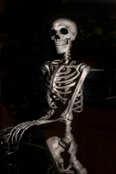 Halloween Csontváz Konyhában Kályha Tetején Hogy Tea — Stock Fotó