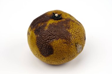 Yaygın yolsuzluklu bir mandalina