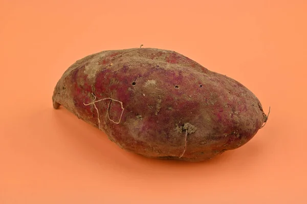 带有橙色背景土壤的红薯 — 图库照片
