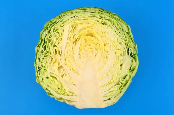 Cabbage cross section on blue background