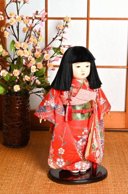 Ichimatsu bebeği köşegen 02 'ye bakıyor.