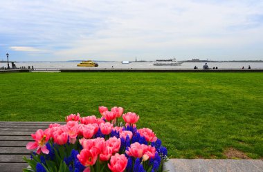 Manzaralı bir öğleden sonra tatili