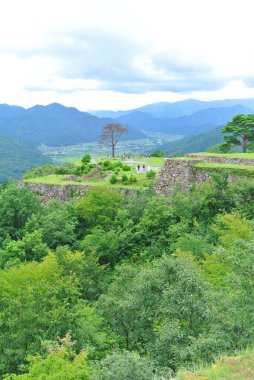 View of the castle ruins from the other side clipart