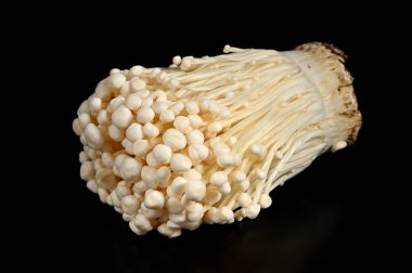 Siyah arka planda Enoki mantarı