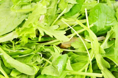 Yukarıdan yeşil bebek yaprakları