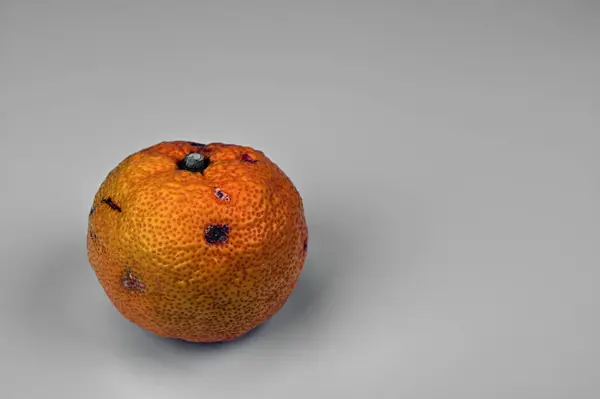 Yuzu 02 arka plan olarak kullanıldı