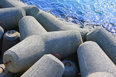 Tetrapodlar ve Mavi Deniz 02