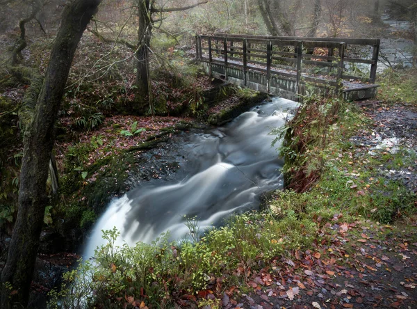 Träbron Över Sychryd Cascades Uppsättning Vattenfall Nära Dinas Rock Brecon — Stockfoto