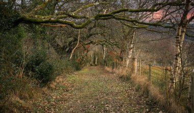 Güney Galler, Ystradgynlais 'deki Taç Giyme Parkı' nda bir yürüyüş yolu.