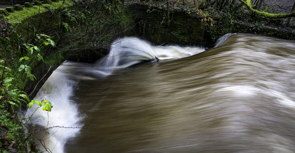 Bardzo Szybko Płynąca Niebezpieczna Rzeka Ciężkim Deszczu — Zdjęcie stockowe