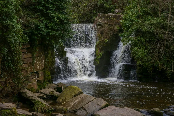 stock image Waterfall at the top lake at Penllergare Valley Woods in Swansea, U