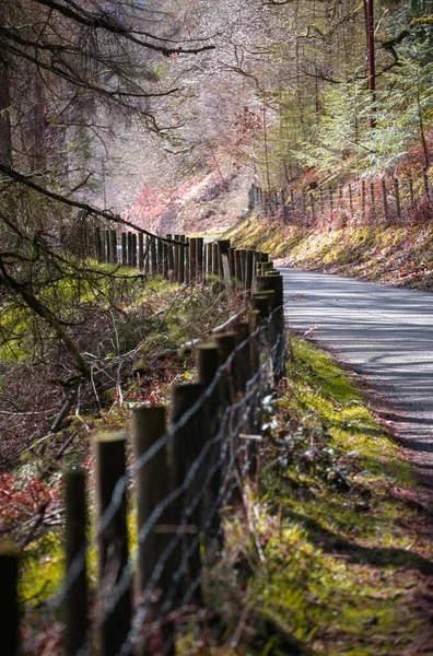 Rickety Old Wooden Fence Alongside Country Road Elan Valley Mid — Stock Photo, Image