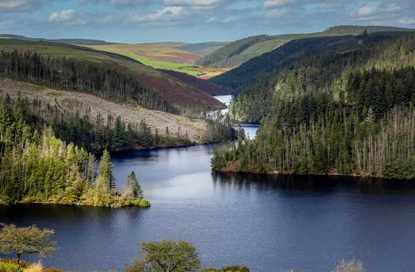 Llyn Brianne 'in havadan görünüşü, İngiltere' nin Mid Wales kentindeki Towy Nehri 'nin ana sularında insan yapımı bir rezervuar.