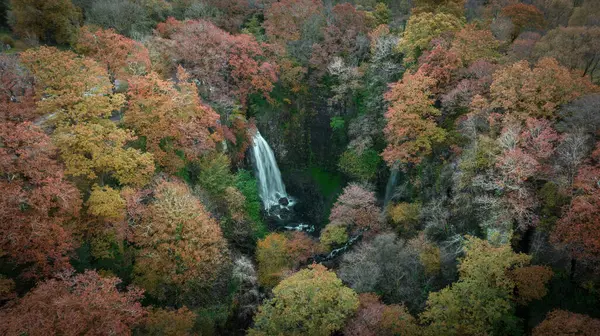 Drone Ansicht Der Schönen Herbstblätter Bei Den Melincourt Wasserfällen Resolven Stockbild