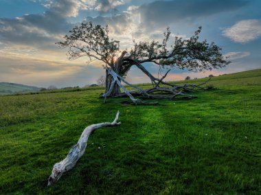 Günbatımı ve Güney Galler 'deki Brecon Beacons' da yaz mevsiminde Twyn y Gaer 'in yamaçlarında bir kırık.