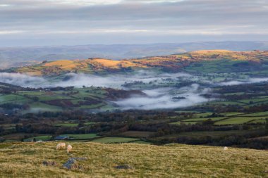 Sabah sisi ya da Galler 'de dedikleri gibi Güney Galler' deki Carmarthenshire 'ın alt bölgelerinde ejderha nefesi.