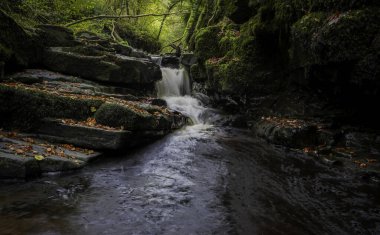 Henrhyd yakınlarındaki Nant Llech nehrindeki bir şelalede renkli yapraklar Güney Galler 'deki Brecon Beacons' a dökülüyor.