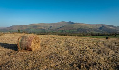 Penyfan yakınlarındaki Brecon Beacons Ulusal Parkı 'nda Bannau Brycheinio olarak bilinen tarlalarda saman balyaları.