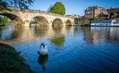 Editör Shrewsbury, İngiltere - 27 Nisan 2025 Galler Köprüsü, Severn Nehri 'ni geçen İngiltere' nin Shrewsbury kasabasında bir duvar kemeri viyadük.