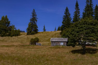 Karpatlar 'ın yamaçlarında terk edilmiş bir ev.