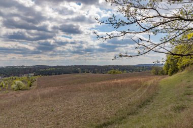 Ağaçlar ve mavi gökyüzü olan güzel bir manzara.