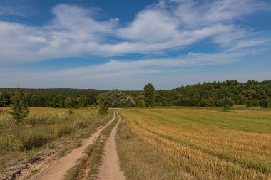 Buğday tarlasında bir yol ve bulutlu mavi bir gökyüzü.