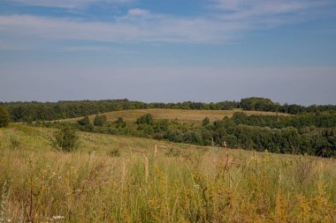 Çimen tarlası ve bulutlu gökyüzü olan güzel bir manzara.