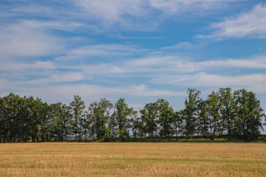Mavi gökyüzü ve bulutlu yeşil alan