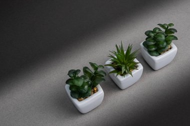 Üç yapay bitki koyu bir arkaplanda çapraz olarak dizilmiş.