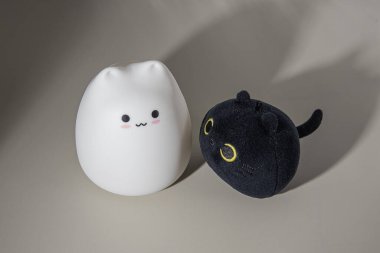 iki beyaz ve siyah kedi