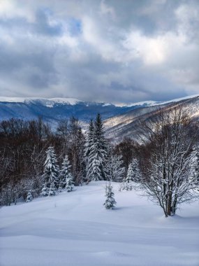 Kışın karla kaplı dağlarla kaplı güzel bir manzara.