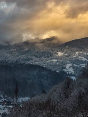 Karla kaplı ağaçlarla kaplı kış manzarası