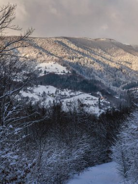 Karla kaplı ağaçlarla kaplı kış manzarası